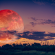 Illustration for article titled When to See This Month's 'Pink Super Moon' at Peak Brilliance